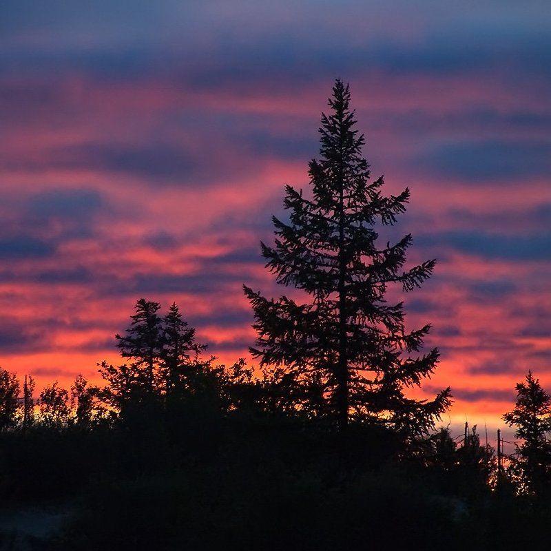 север, природа, утро , пейзаж, предрасветнаяphoto preview