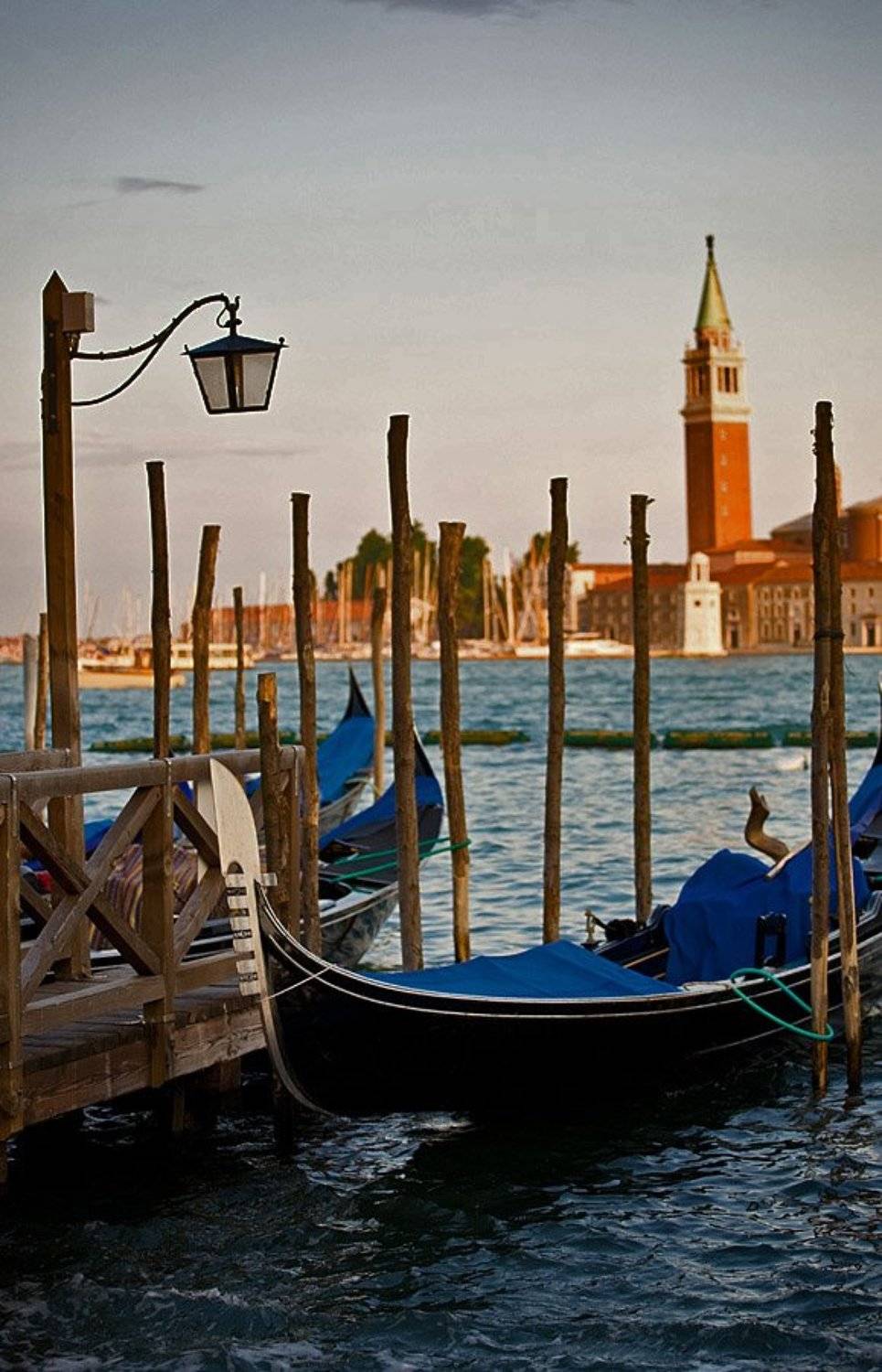 венеция, dimmm