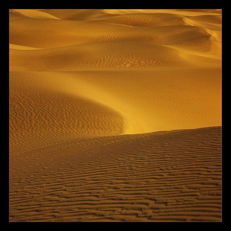 Sand Miniature IVphoto preview