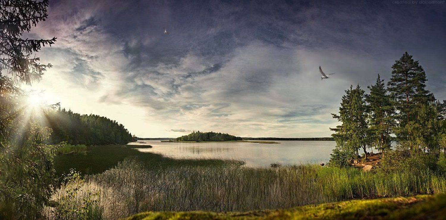 выборг, монрепо, закат, вода, камни, чайка, гранит, финский залив, doberman, Денис Богомолов