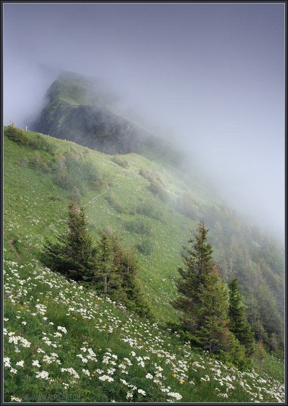 Туманные зигзаги гор фото превью