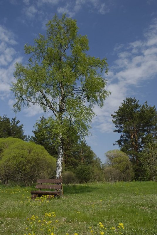 Тихое место.photo preview