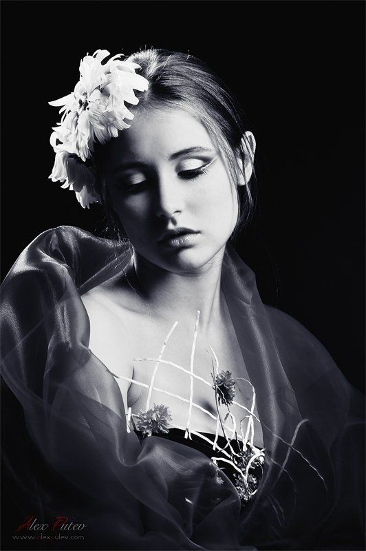 лето,цветы,flowers,глаза,студия,путев Flowersphoto preview