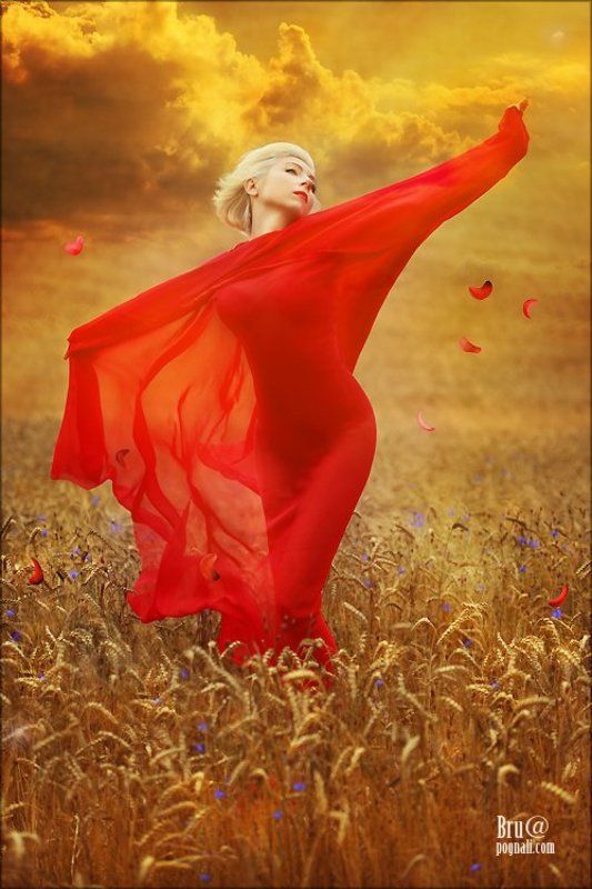 девушка, рожь, поле, полет Над пропастью..photo preview