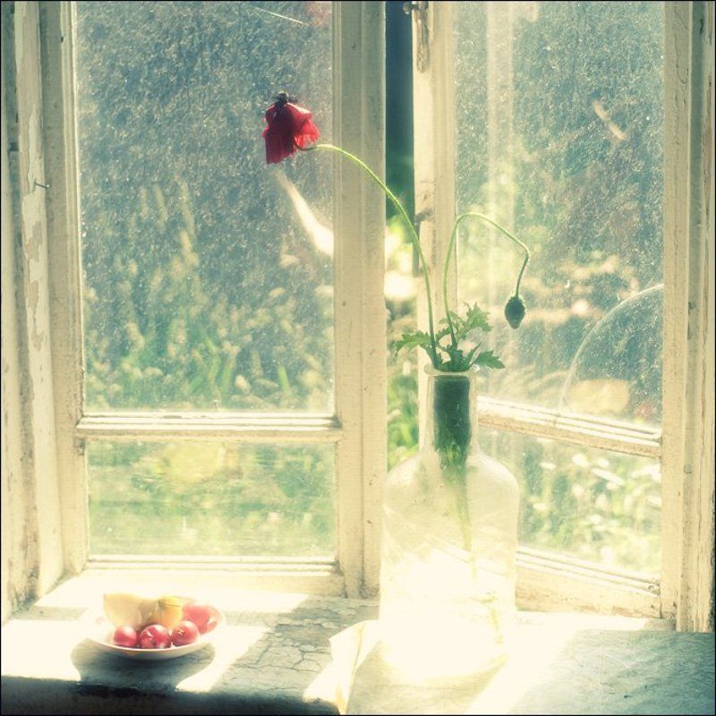 Летняя квадратная весьма цветная картинка с маком и сливами на окне в Овсяниковоphoto preview