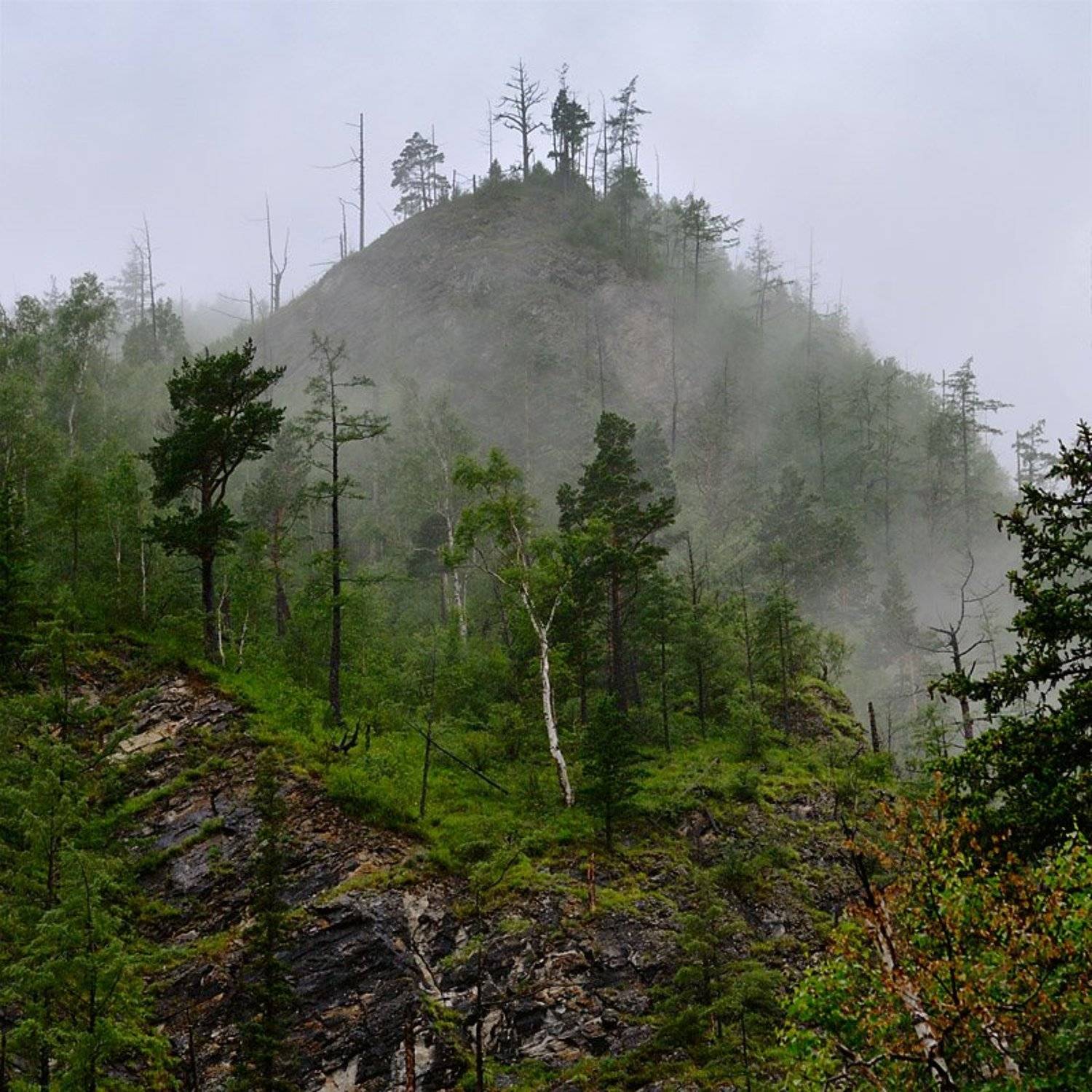 ***. Автор: Kaiser Sozo байкал, тункинская долина, восточные саяны, пос. аршан, туман, горы, 2009, Kaiser Sozo
