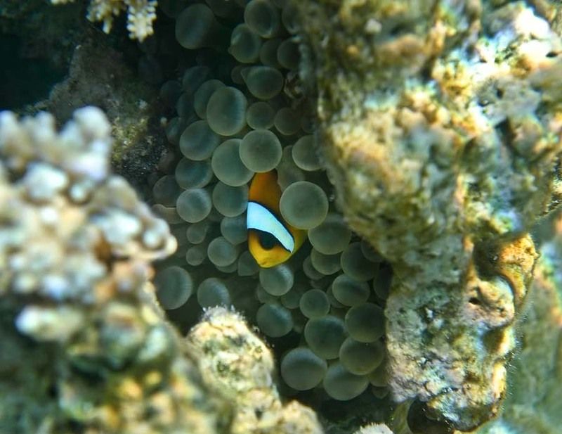 Опять туристы лезут!photo preview