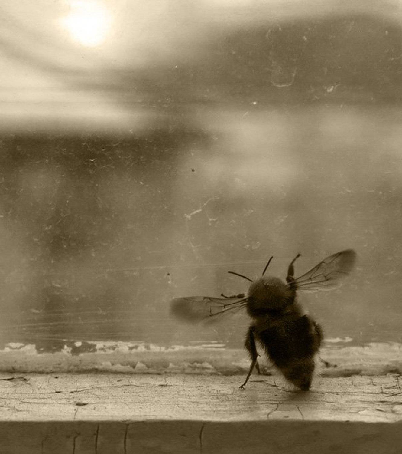 хандра, Алексей Баяндин