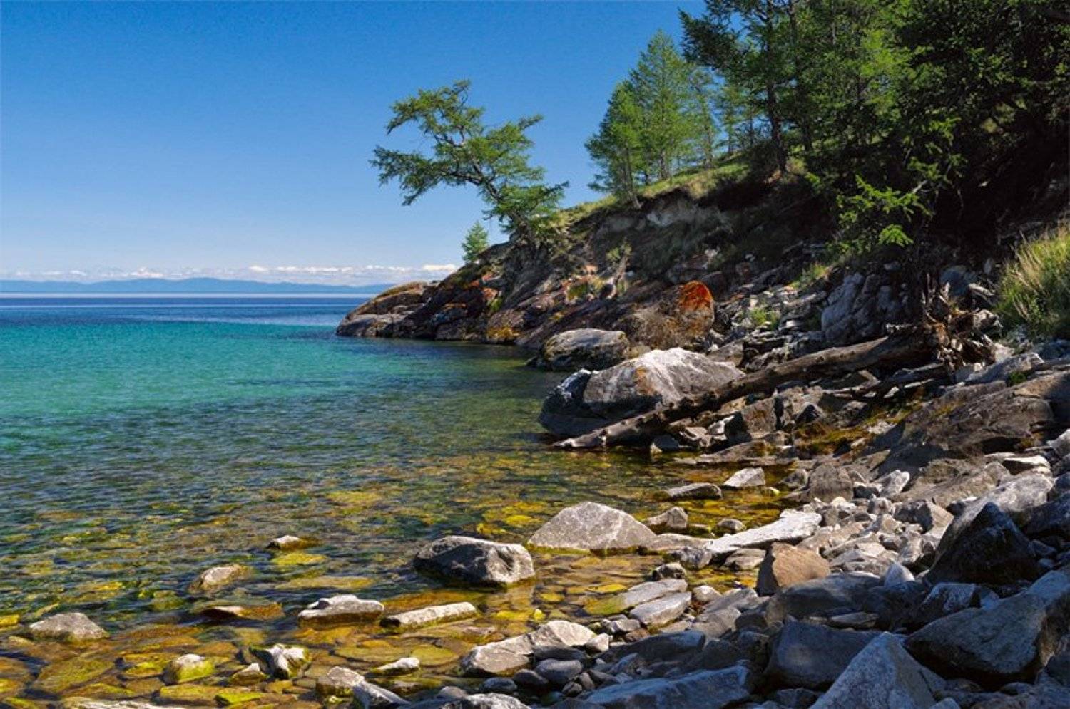 ну чем не Мальдивы?. Автор: Kaiser Sozo байкал, о.ольхон, камни, лиственница, 2009, Kaiser Sozo