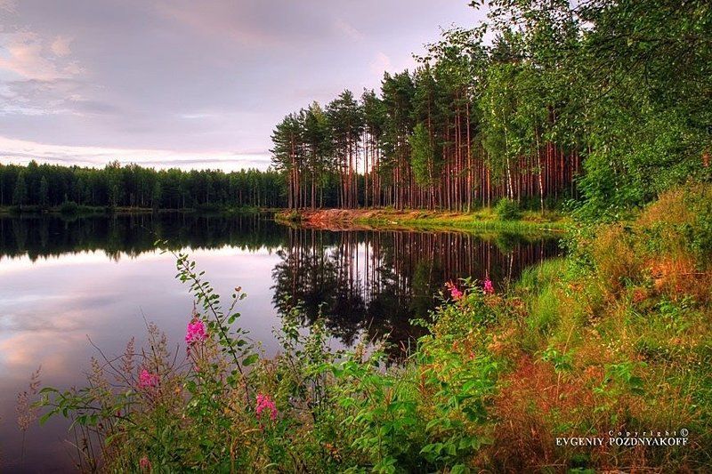 hdr, вода, деревья, евгений поздняков, красота, лес, лето, небо, облака, озеро, отражение, отражения, пейзаж, природа, рассвет, ручей, утро Рассветphoto preview