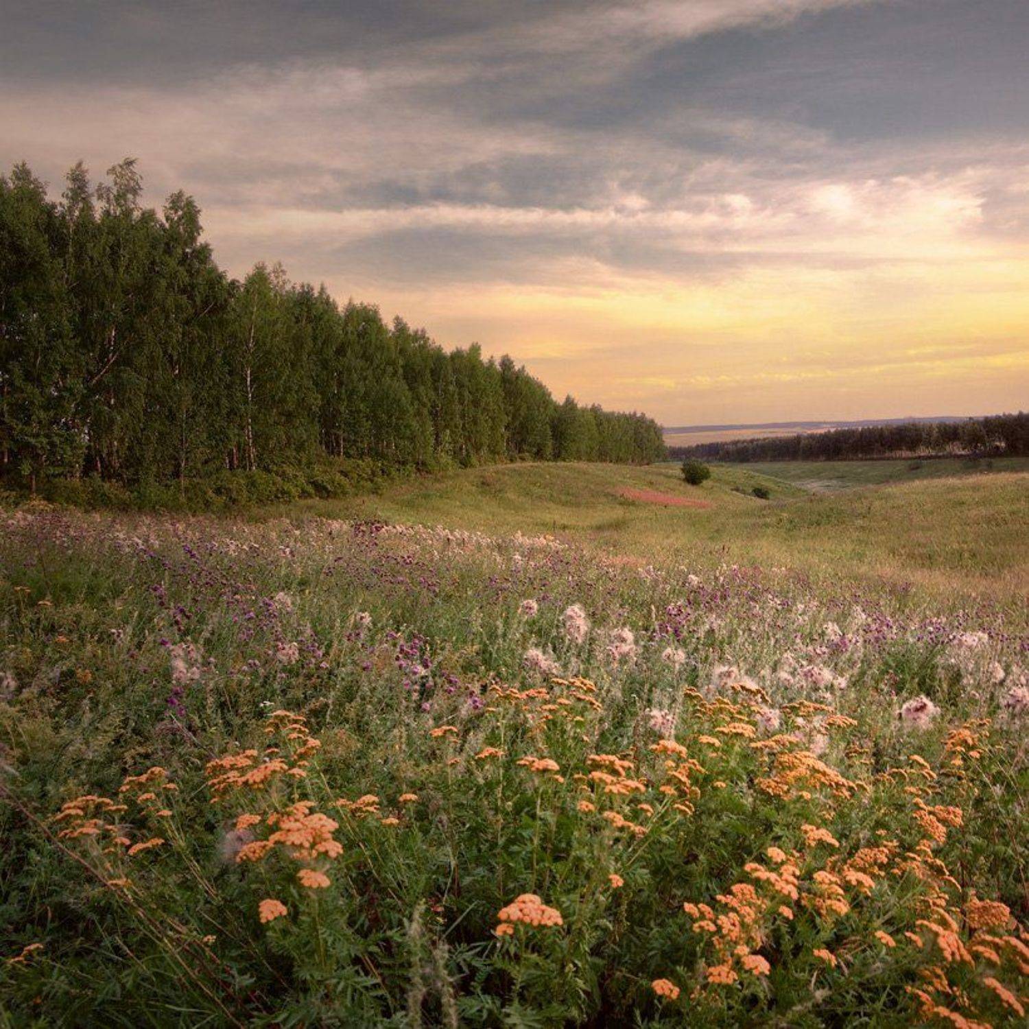 мастиновка, овраг, Александр Дубовицкий