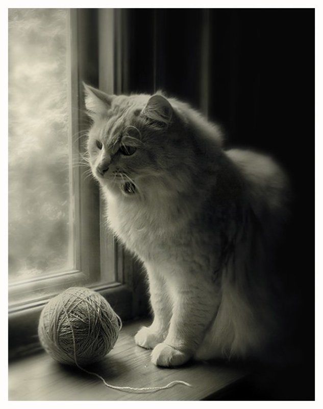 пою я сам ля, без ансамбляphoto preview