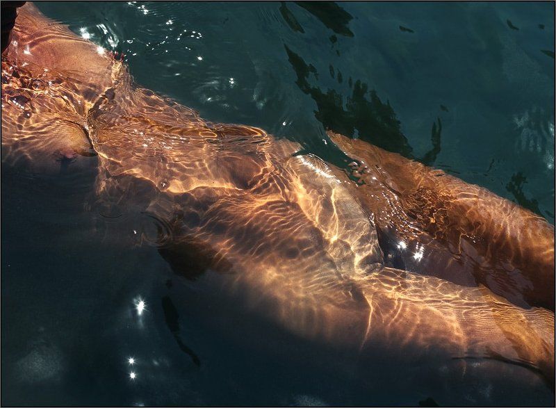 Преломление (3)photo preview