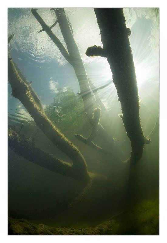 за, гранью, разумного Куда уходят сказкиphoto preview