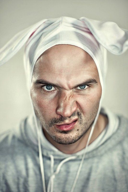 Зайца не видали? фото превью