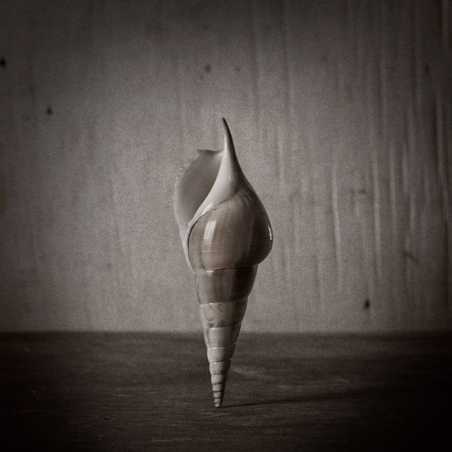 L. Автор: Владимир Лестровой , Владимир Лестровой