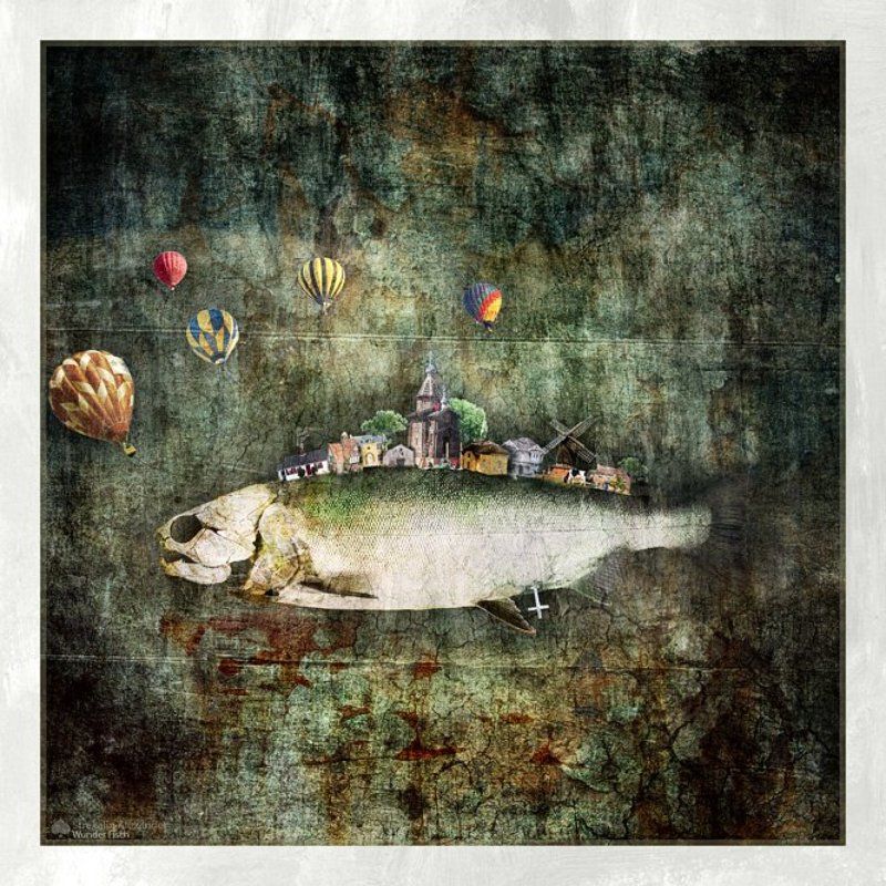 Wunder Fischphoto preview