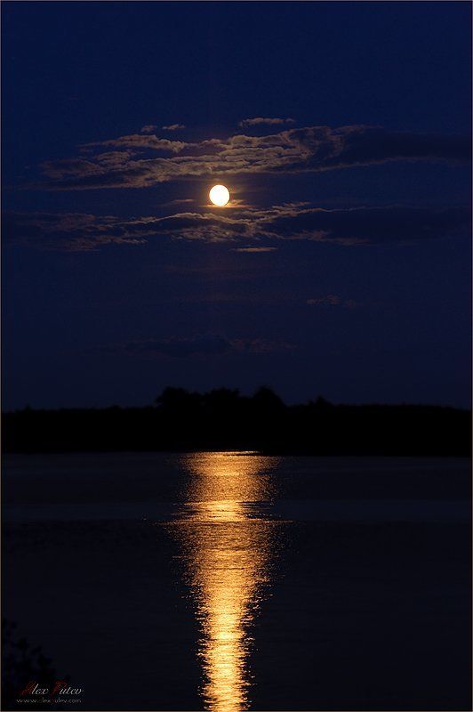 селигер,луна,озеро,ночь,отдых,путев Золото Селигера фото превью