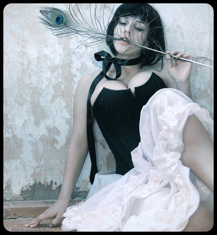 Перо желанийphoto preview