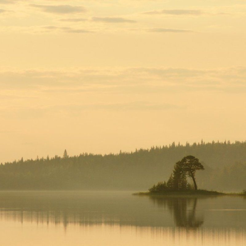 карелия, квадрат. Тихая карелия.photo preview