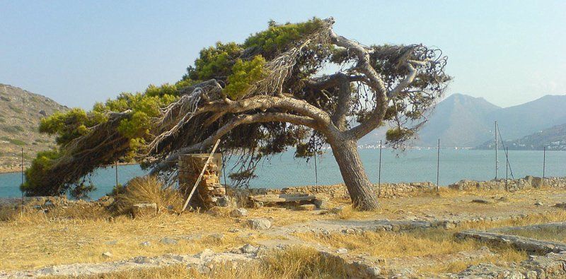 Живущий над моремphoto preview