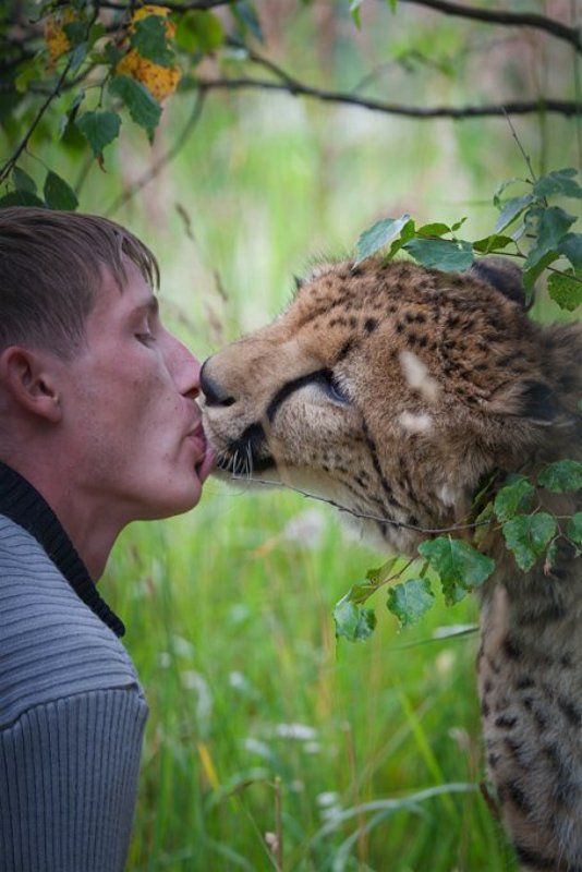 про любовь...photo preview