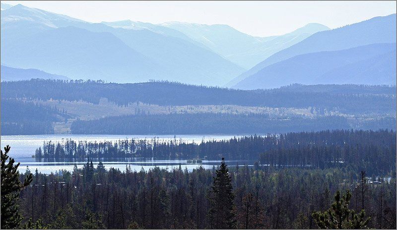 Фрискоphoto preview