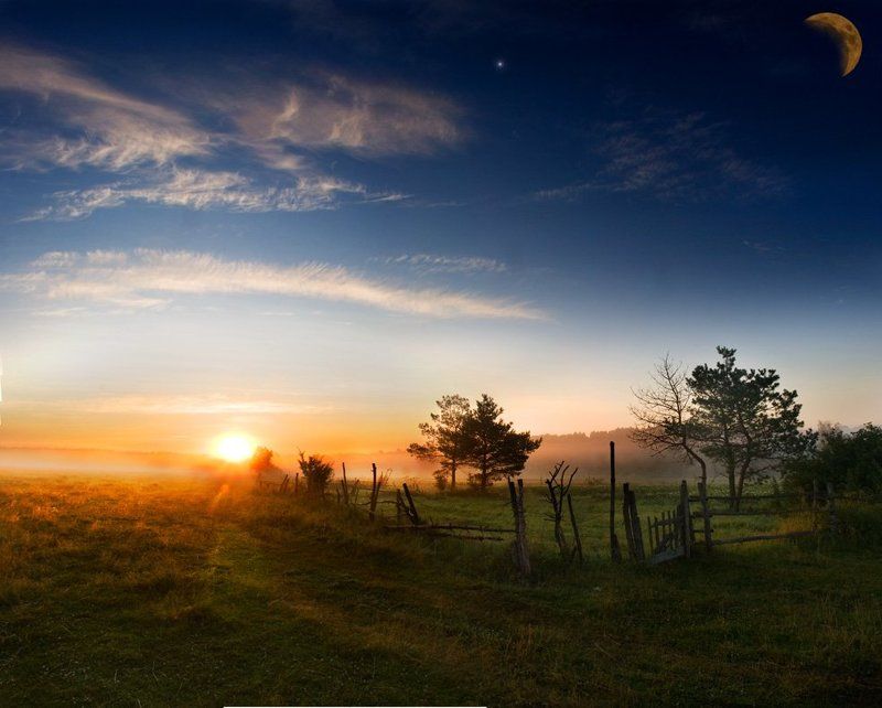 Звездаphoto preview