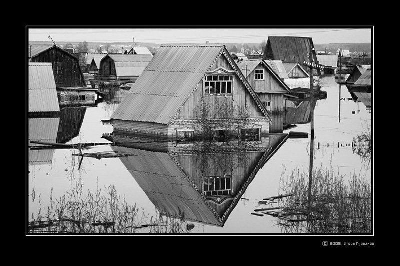 n04931m, стихия, тобол, река, паводок, наводнение, курган Стихияphoto preview