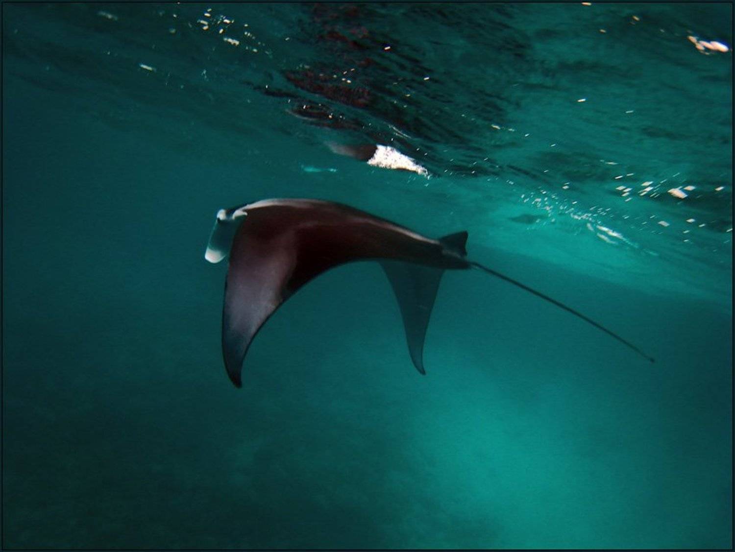 , Сергей Милицкий