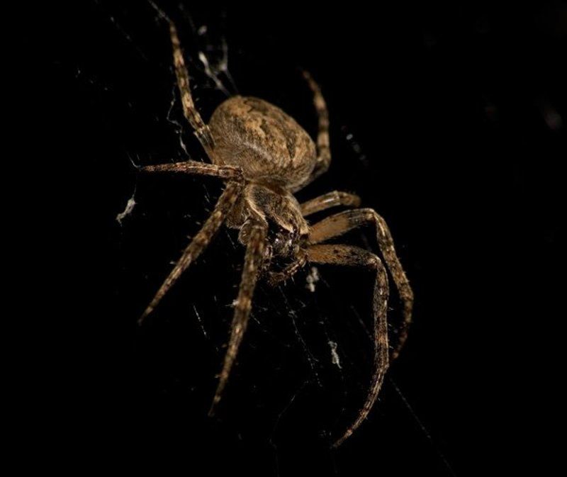 Соседphoto preview