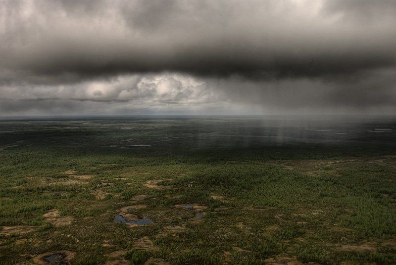 Дождь в тундре с высоты птичьегоphoto preview