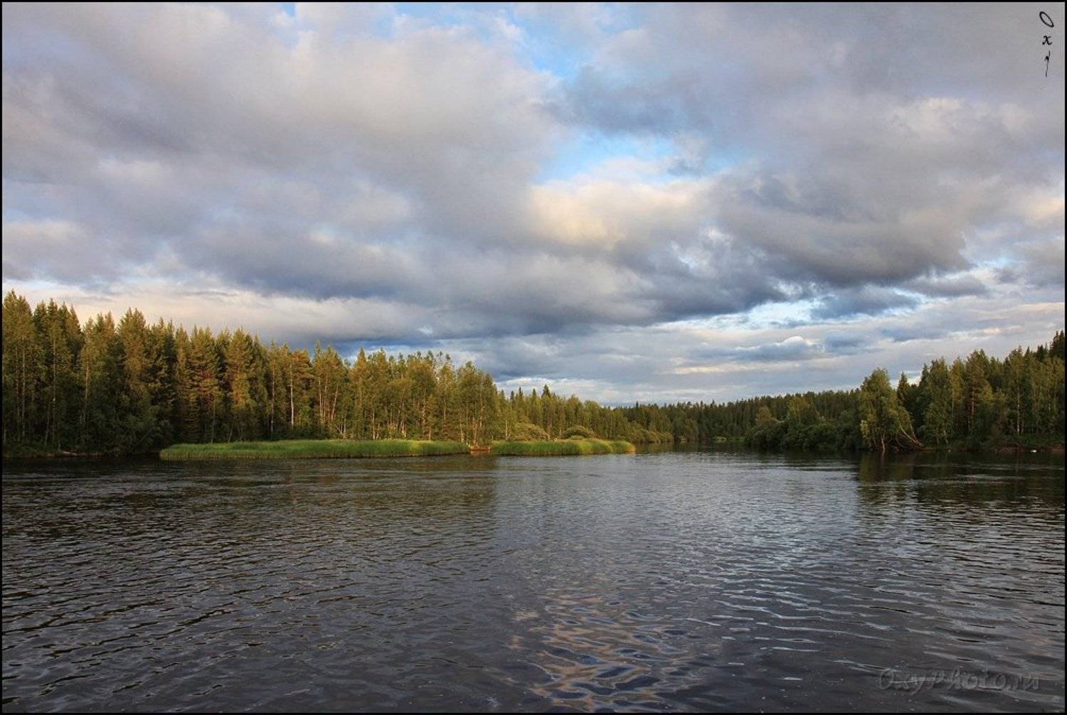 russia, россия, север, north, мурманская область, тунтсайоки, река, river, лес, Оксана Борц