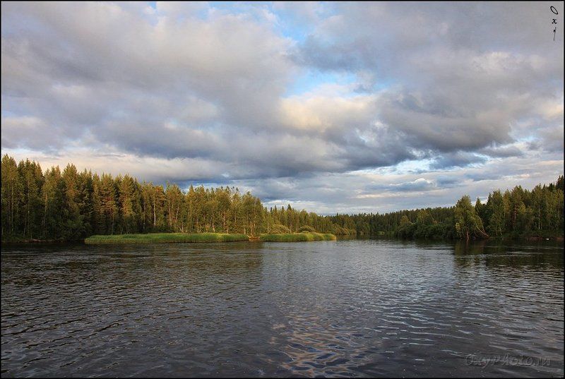 russia, россия, север, north, мурманская область, тунтсайоки, река, river, лес Вечереет...photo preview