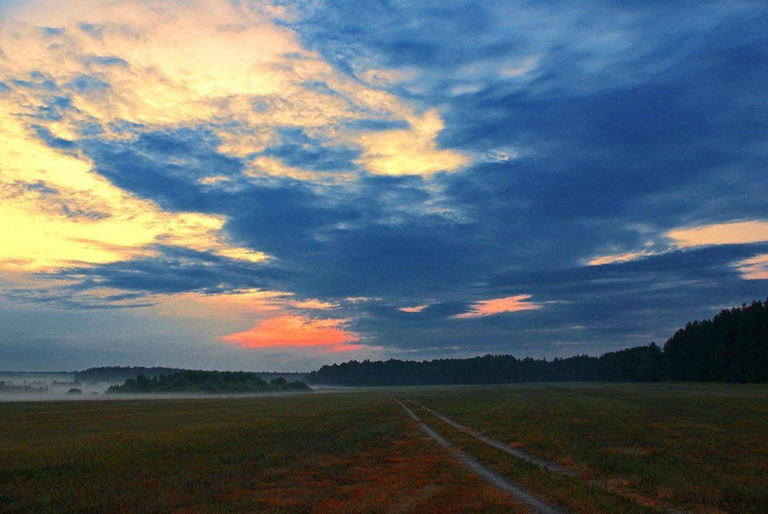 , Вячеслав Довыденков