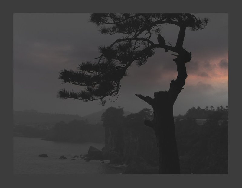 сны о тёплых берегахphoto preview