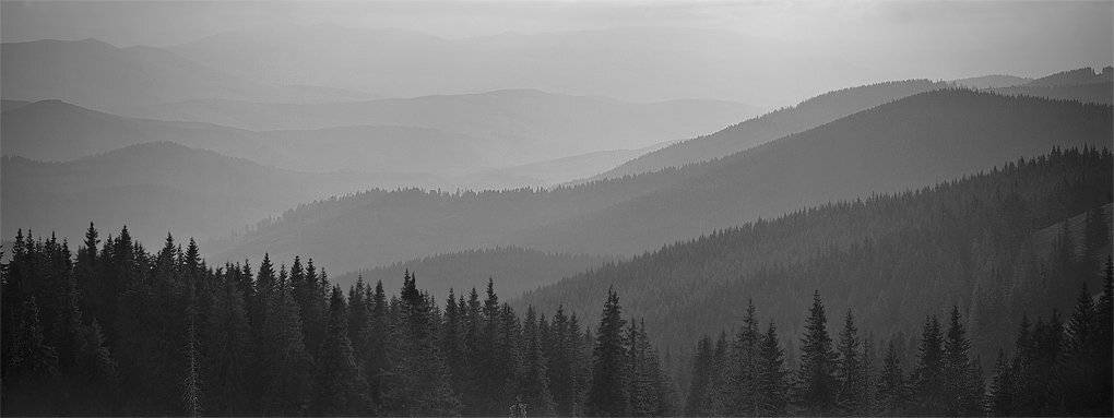 ...лес.... Автор: Piligrim карпаты, природа, пейзаж, горы, панорама, Piligrim