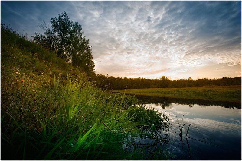 здесь рыбы нетphoto preview