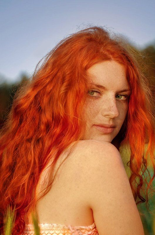 Рыжикphoto preview