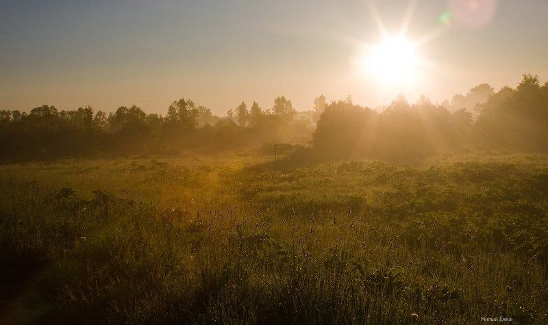 утро, туман Рассветная...photo preview