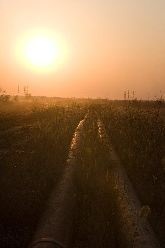 s.t.a.l.k.e.r. S.T.A.L.K.E.Rphoto preview