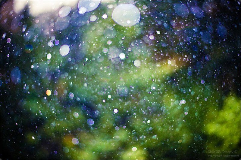 Дождливые бокешечки =)photo preview