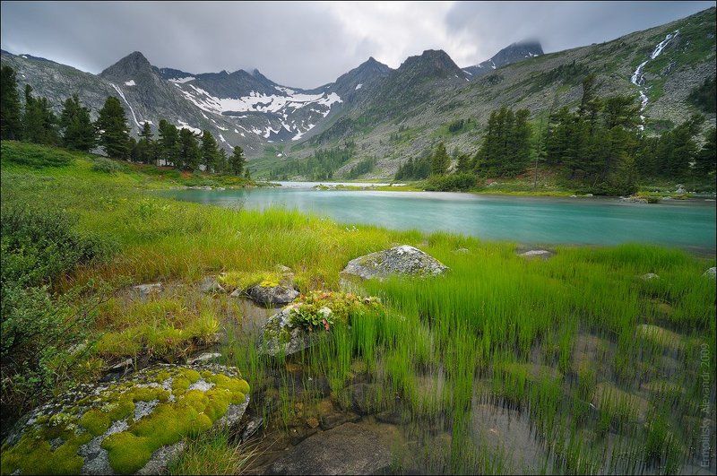 Крепкоеphoto preview