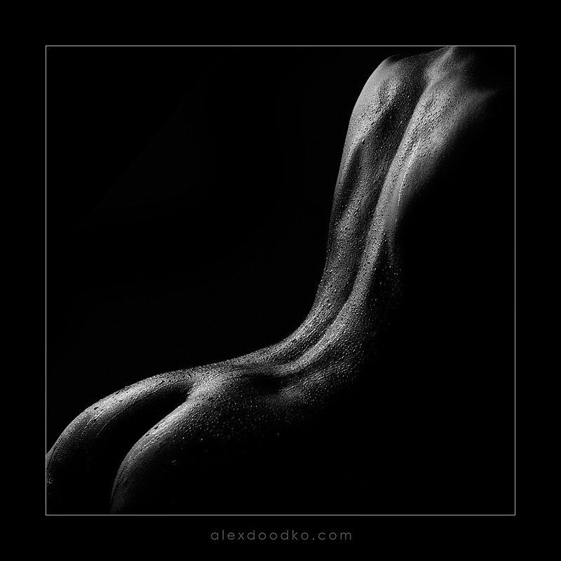 doodko, линии, ню ***photo preview