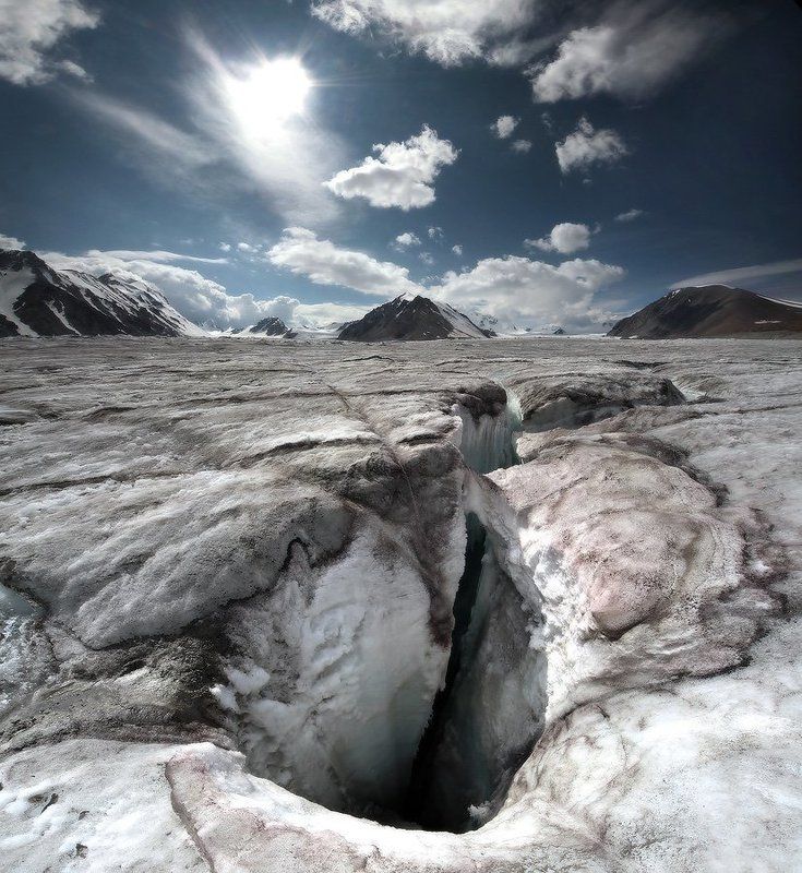 Potanin glatcher... фото превью