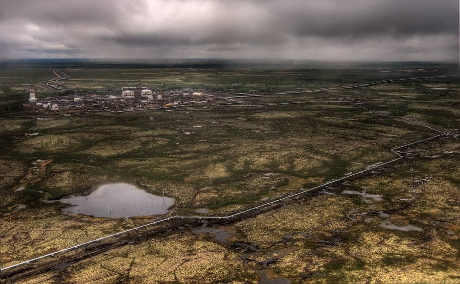 , Дмитрий Милосердов