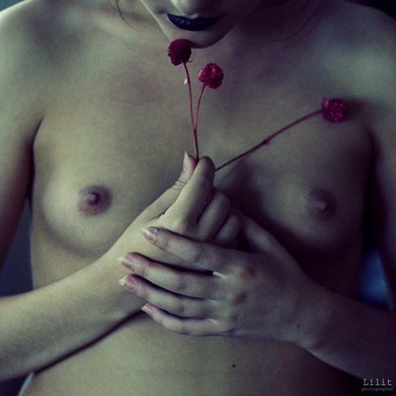 Клеверphoto preview