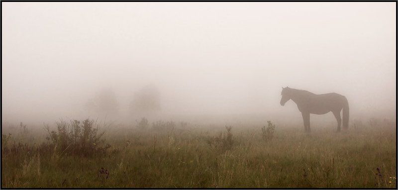 хакасия ВОЛЬНАЯ_ВОЛЯphoto preview