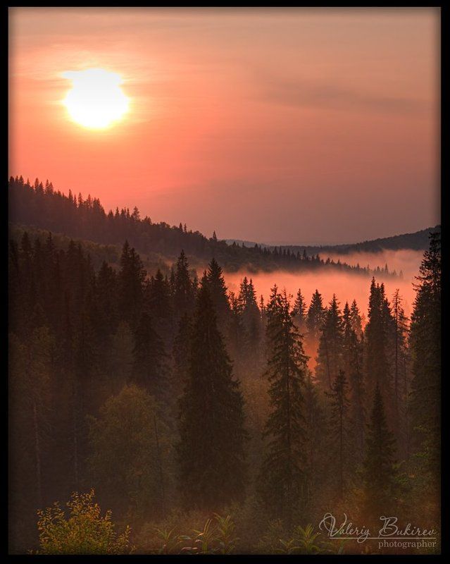 Туманностиphoto preview