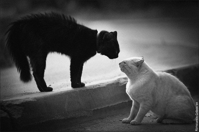 О вечном :-)photo preview